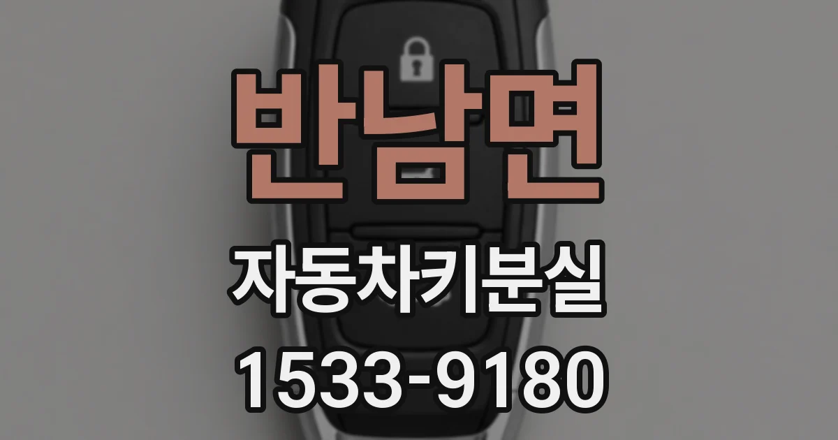 반남면 자동차키분실