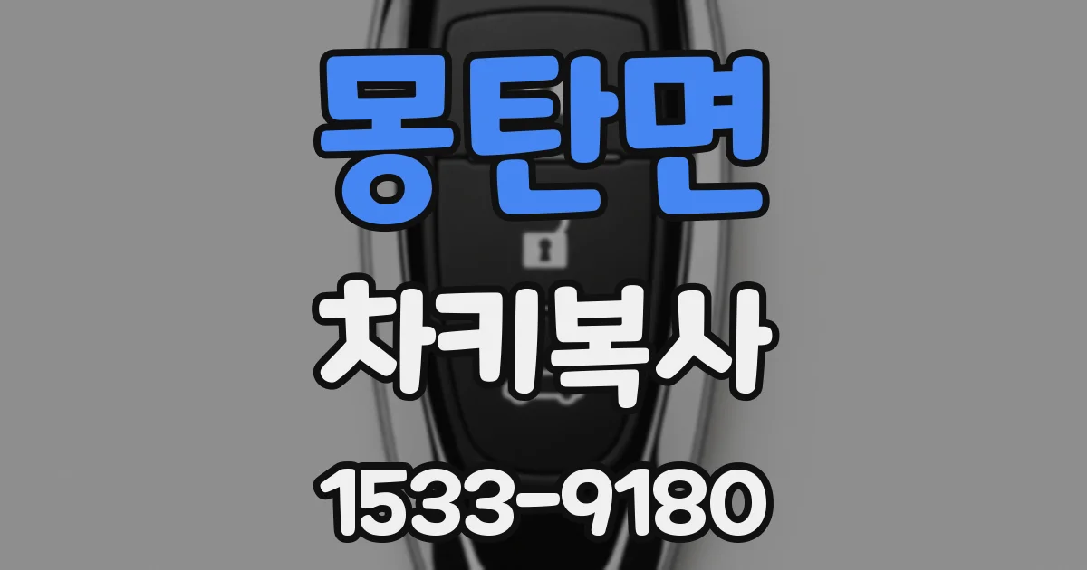 몽탄면 차키복사