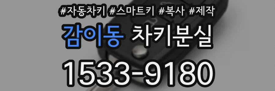 감이동 차키분실