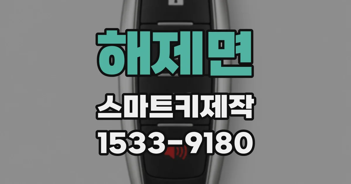 해제면 스마트키제작