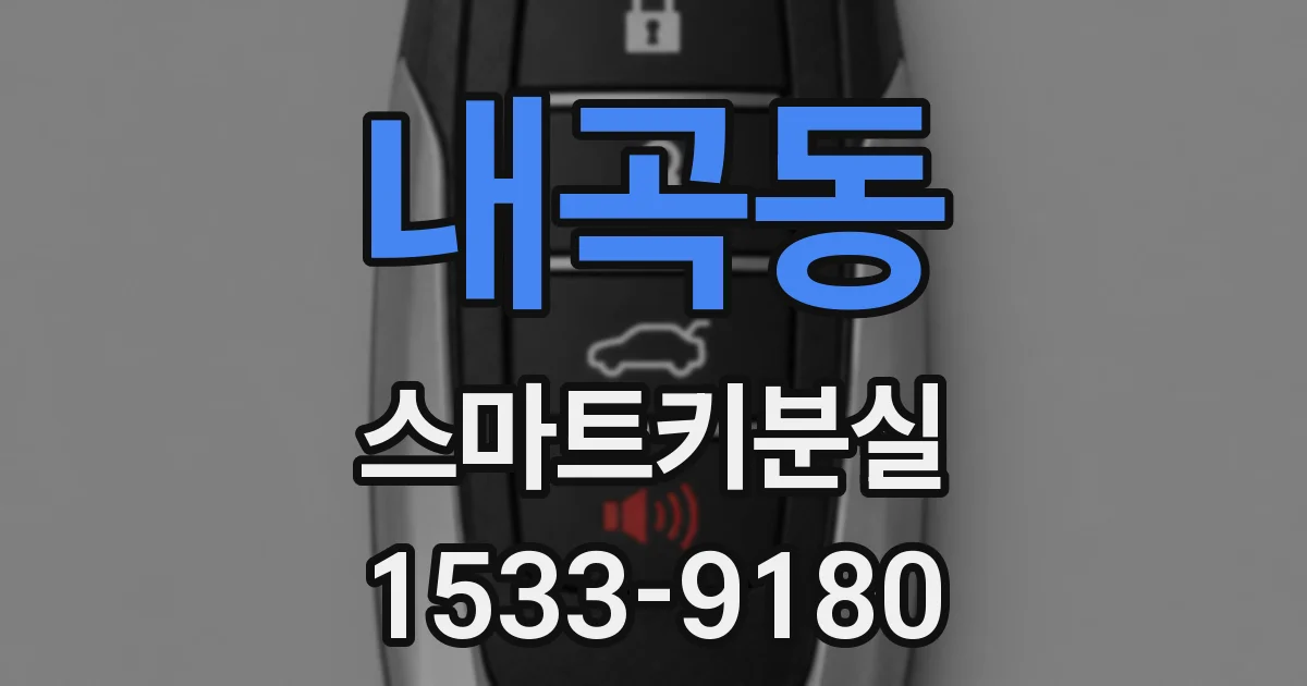 내곡동 스마트키분실