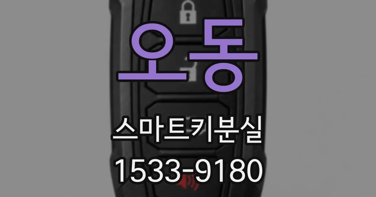 오동 스마트키분실