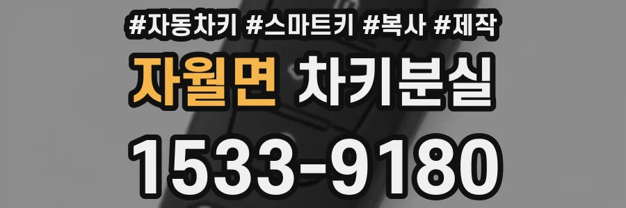자월면 차키분실