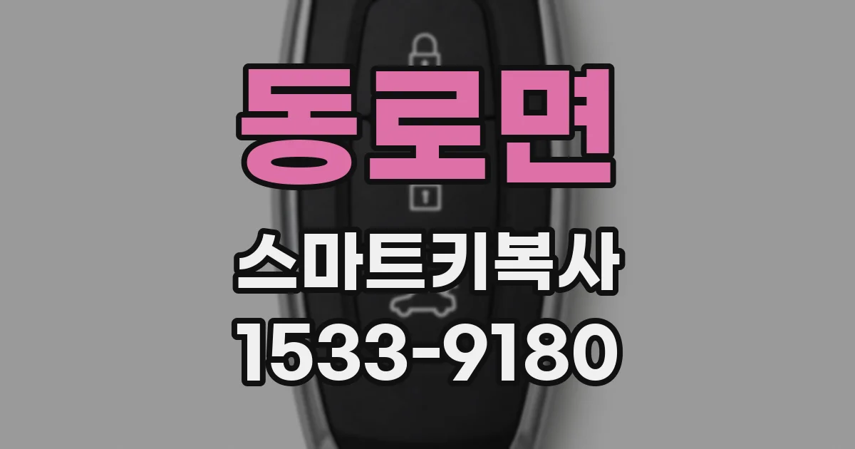 동로면 스마트키복사