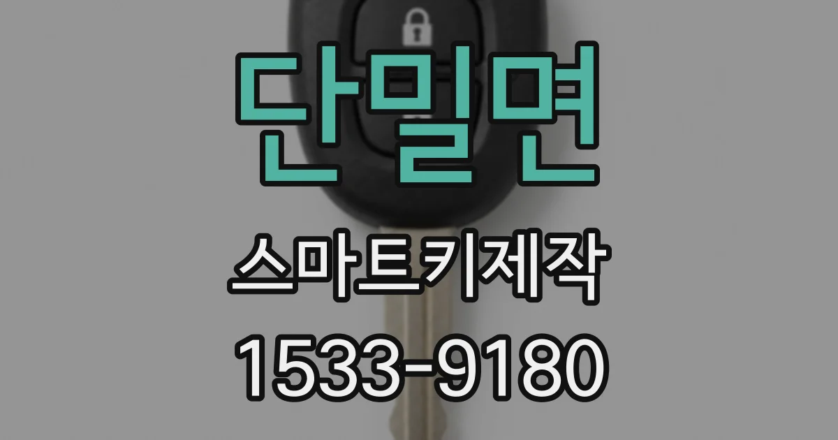 단밀면 스마트키제작