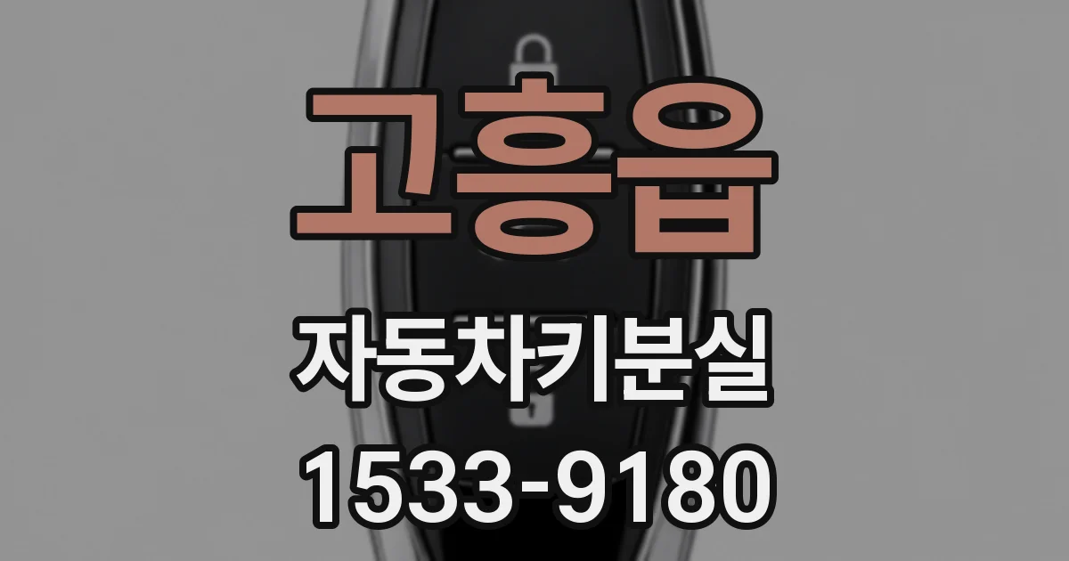 고흥읍 자동차키분실