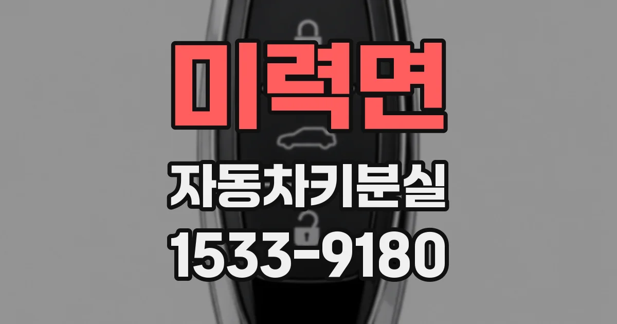 미력면 자동차키분실