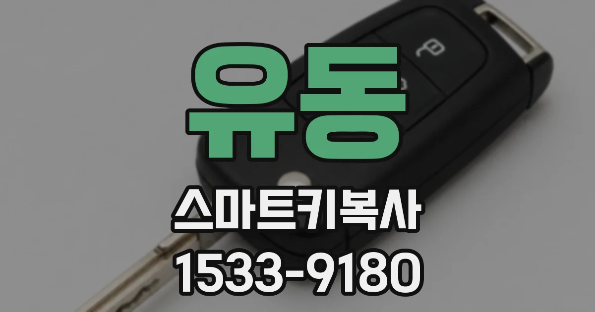 유동 스마트키복사
