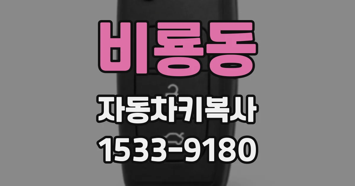 비룡동 자동차키복사