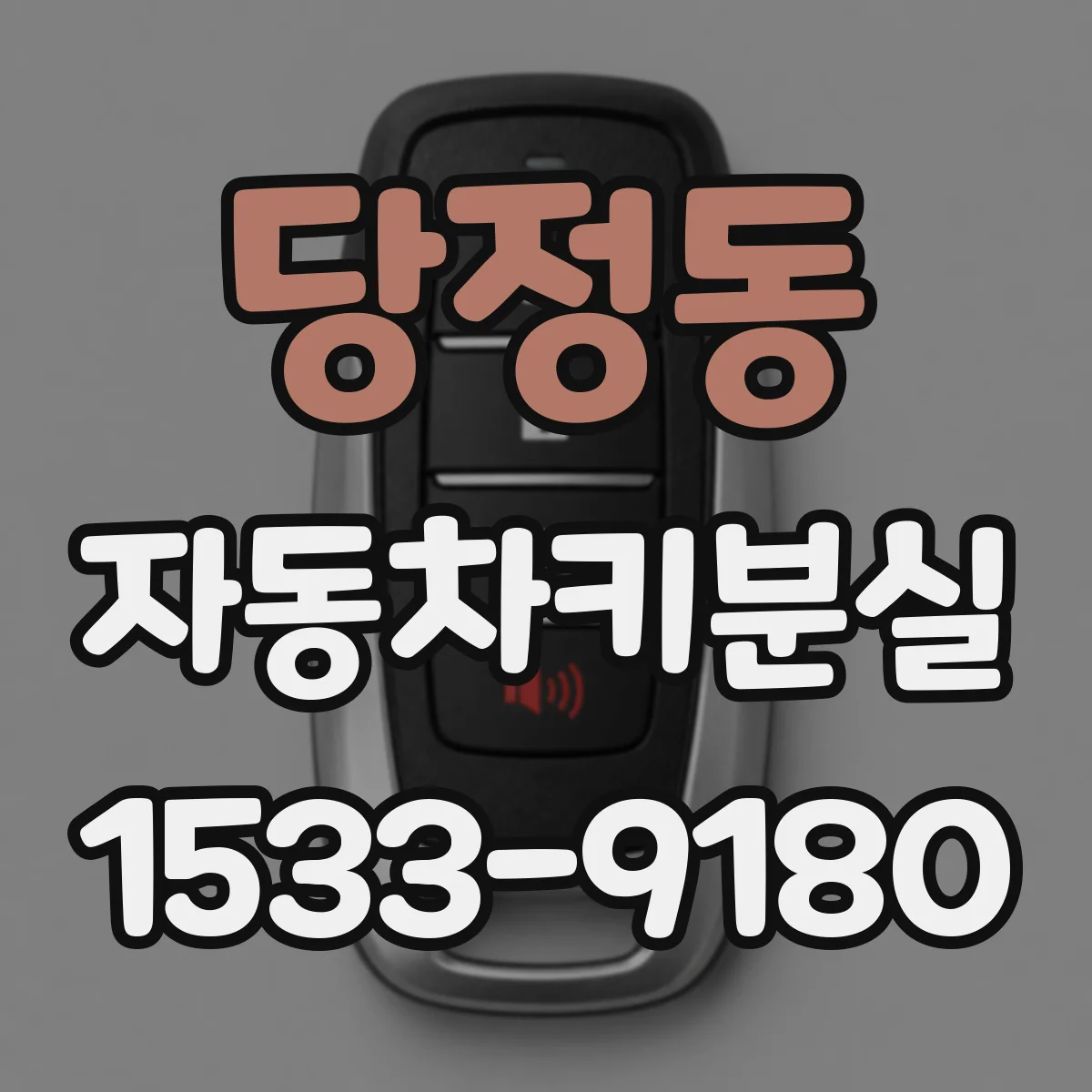 당정동 자동차키분실
