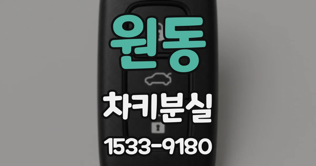 원동 차키분실