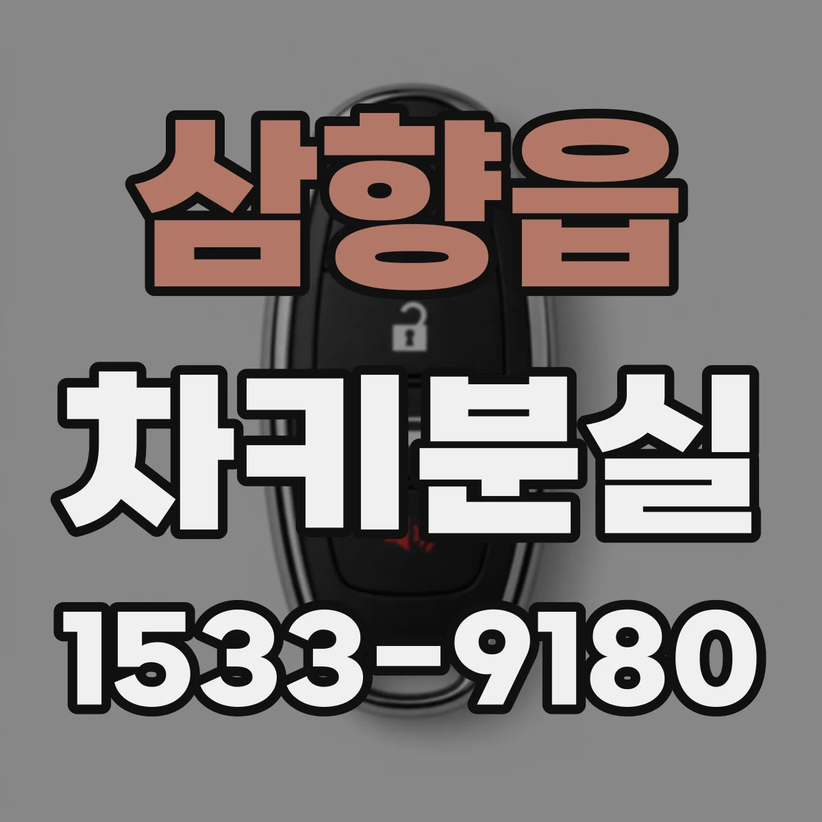 삼향읍 차키분실