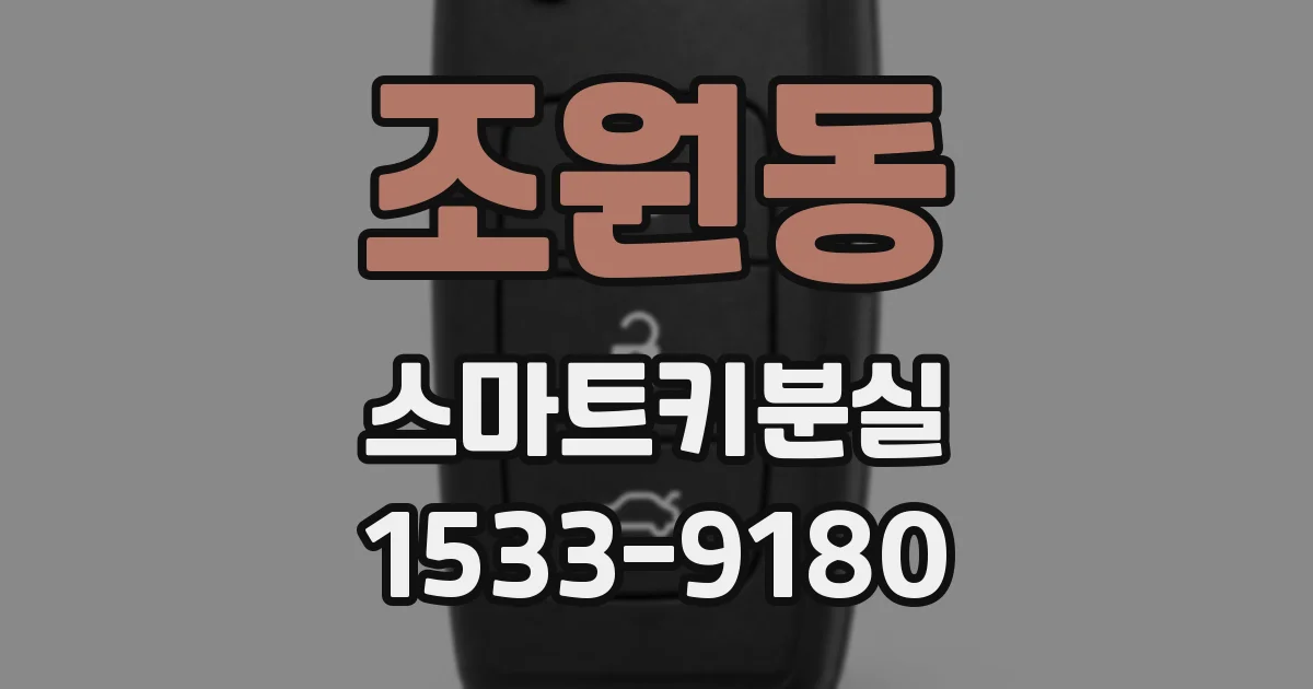 조원동 스마트키분실