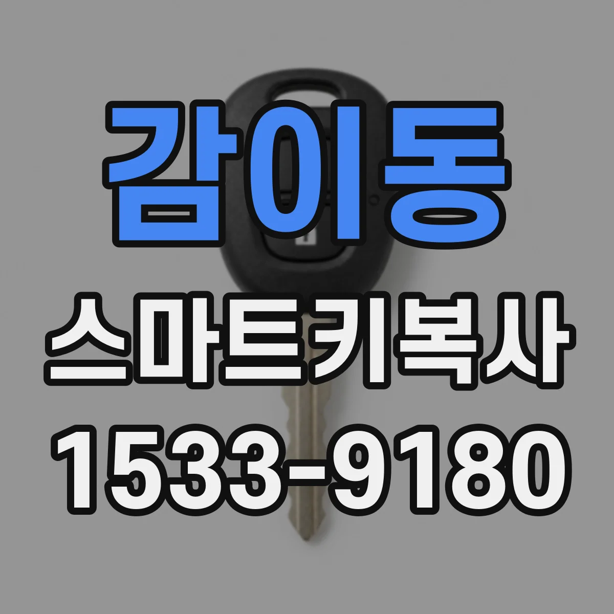 감이동 스마트키복사
