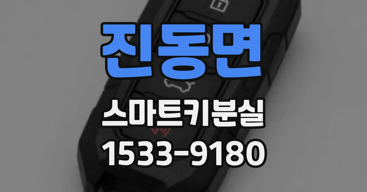 진동면 스마트키분실