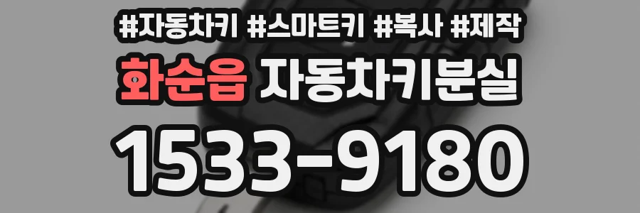 화순읍 자동차키분실