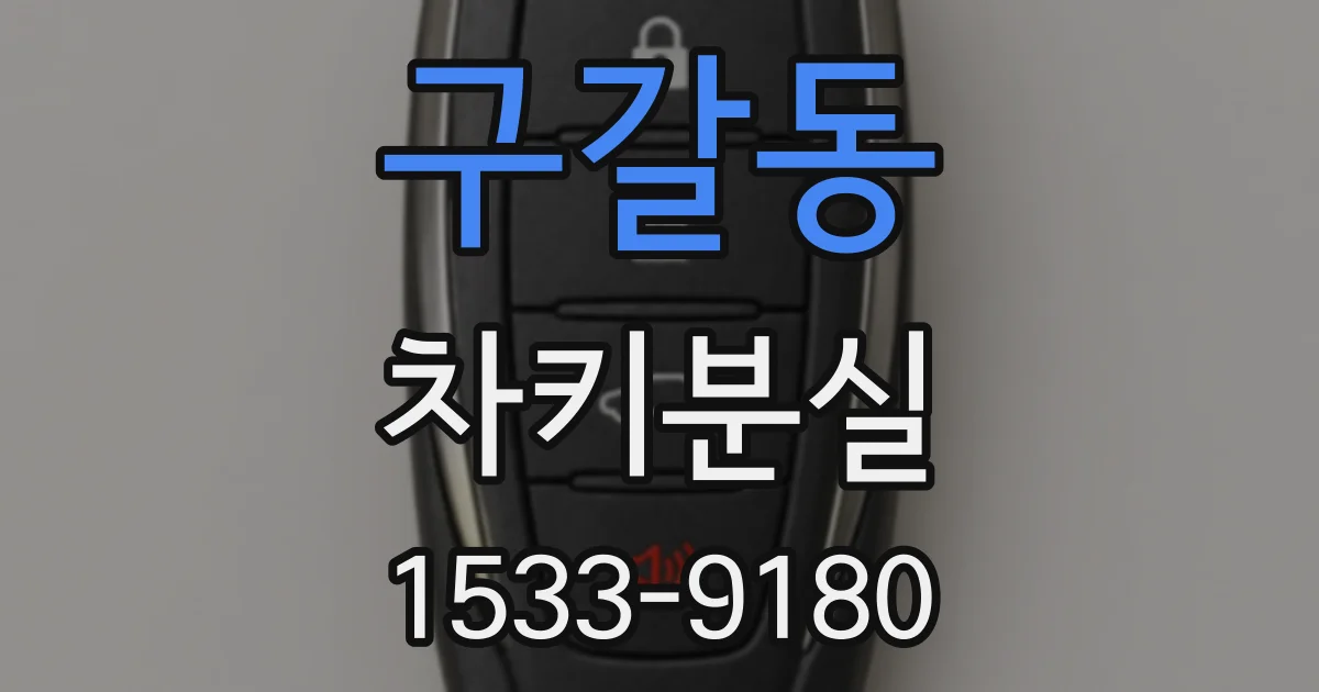 구갈동 차키분실
