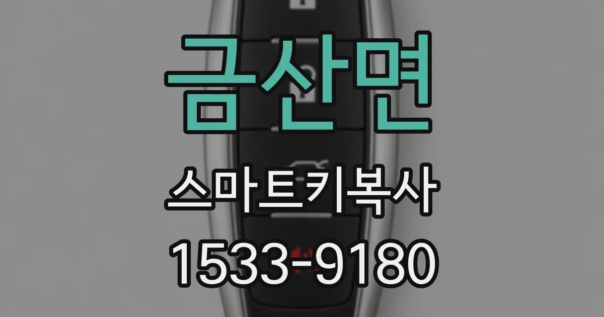 금산면 스마트키복사