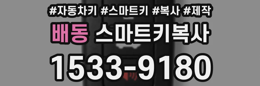 배동 스마트키복사