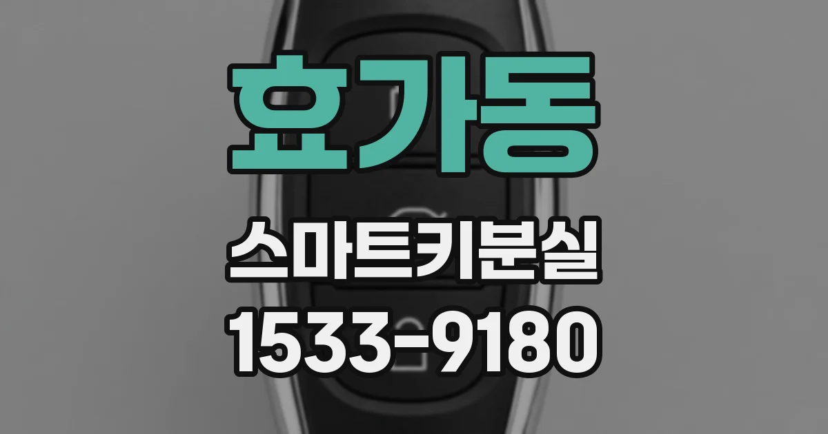 효가동 스마트키분실
