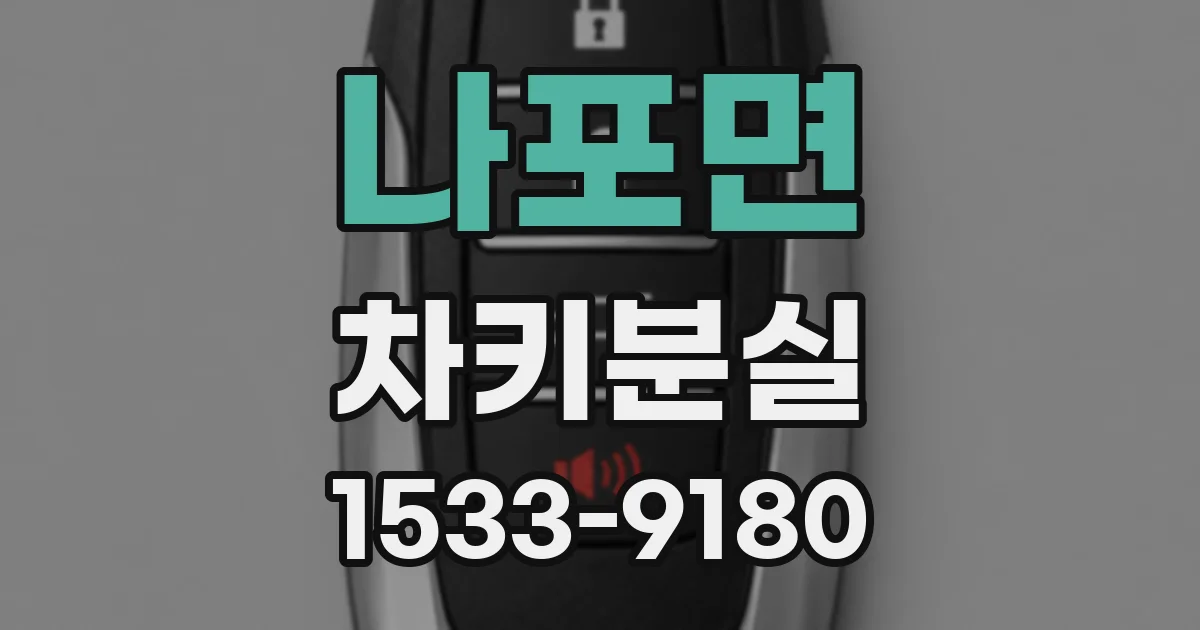나포면 차키분실