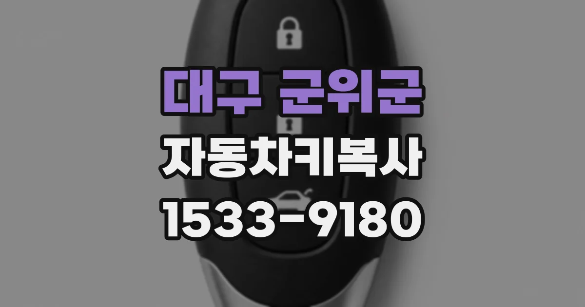 대구 군위군 자동차키복사