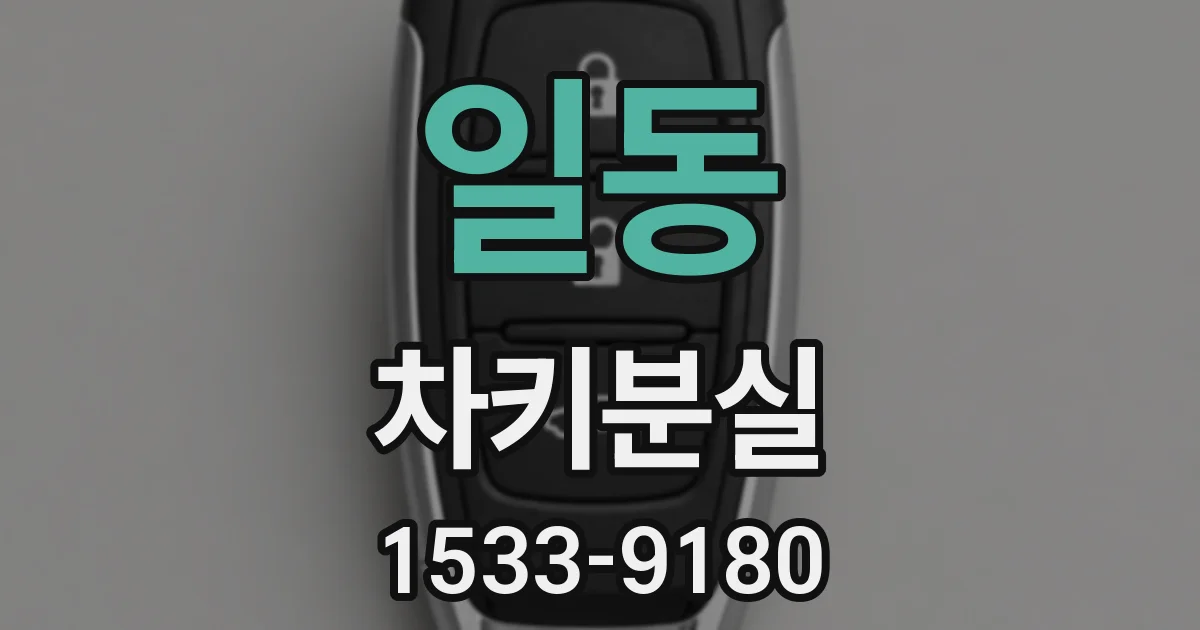 일동 차키분실