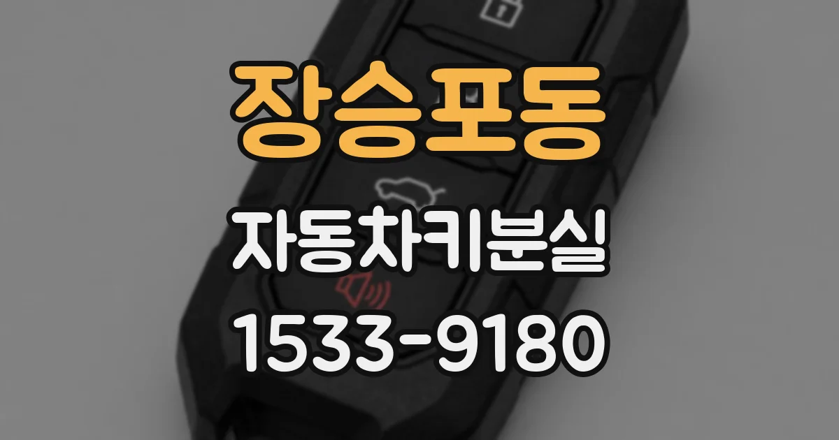 장승포동 자동차키분실