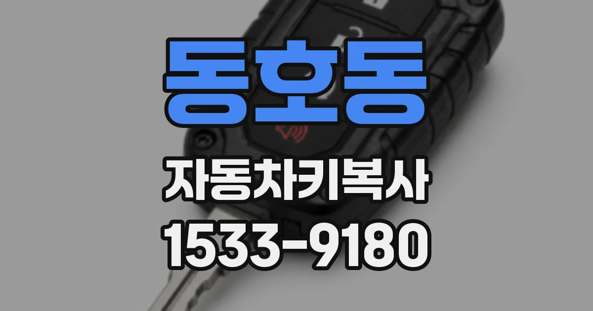 동호동 자동차키복사