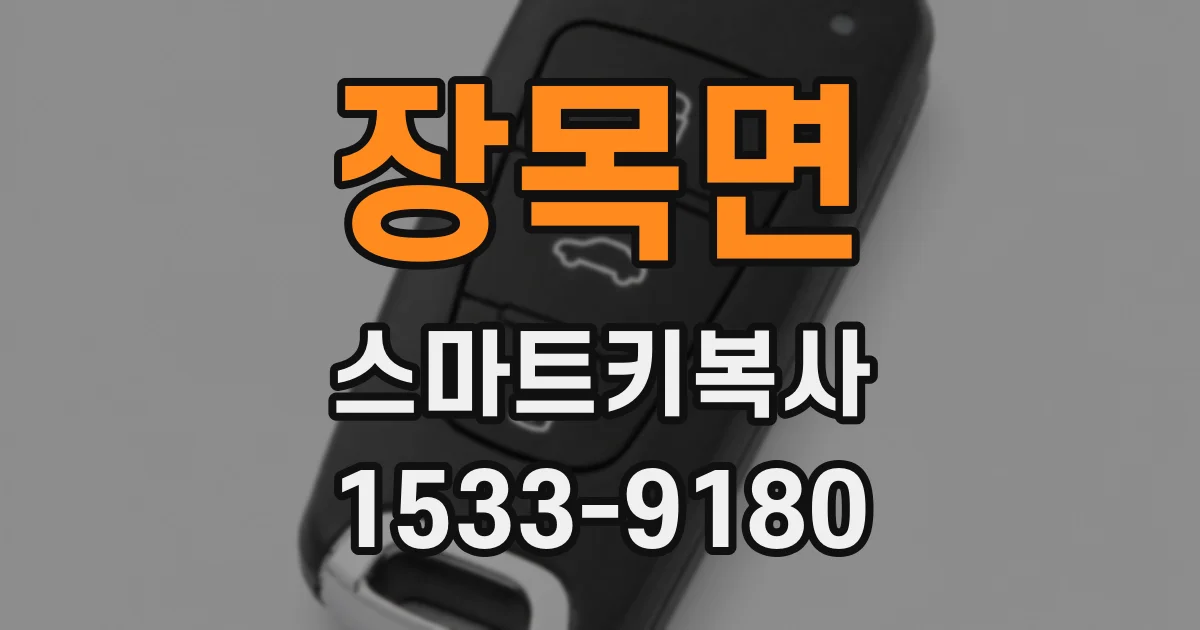 장목면 스마트키복사