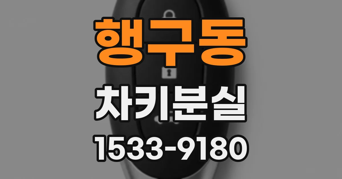 행구동 차키분실