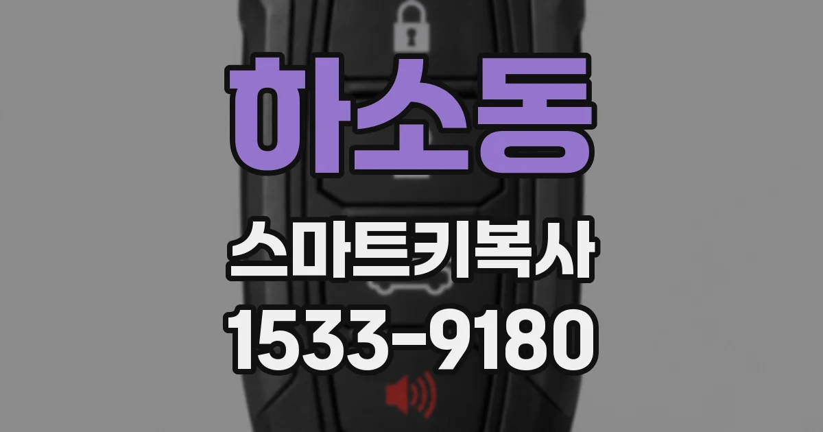 하소동 스마트키복사