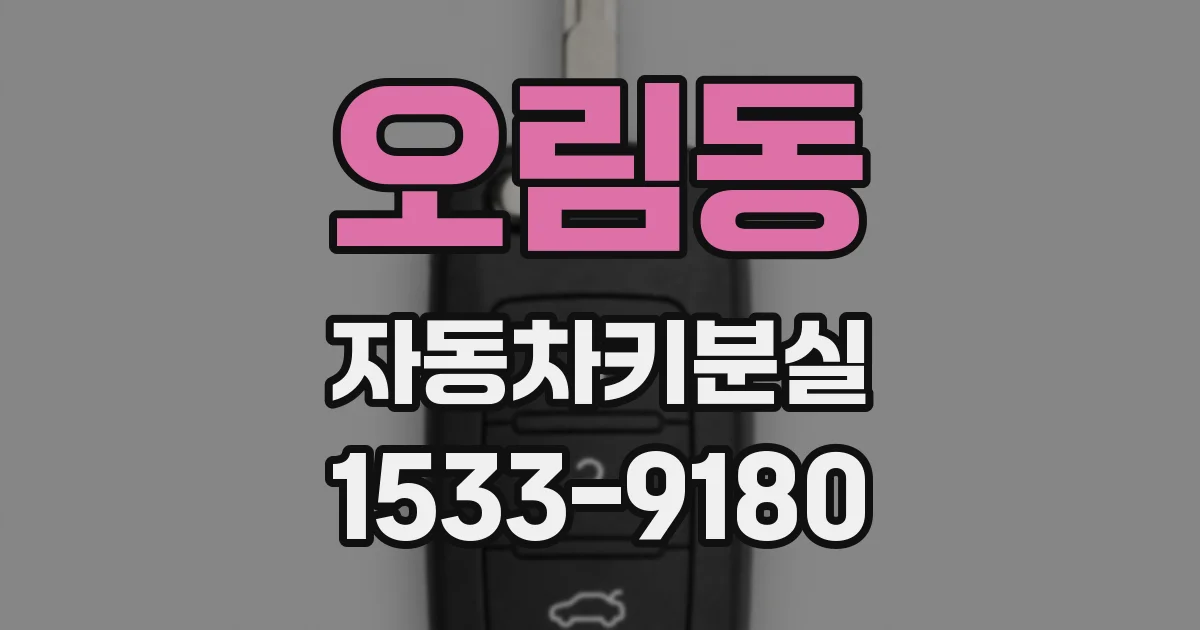 오림동 자동차키분실