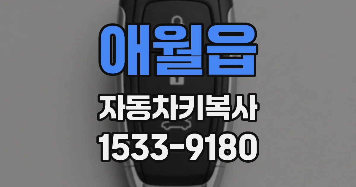 애월읍 자동차키복사