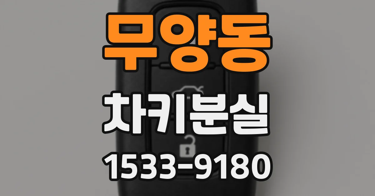 무양동 차키분실