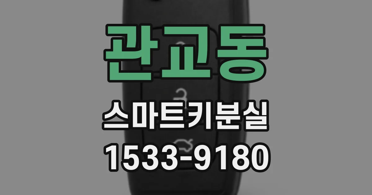 관교동 스마트키분실
