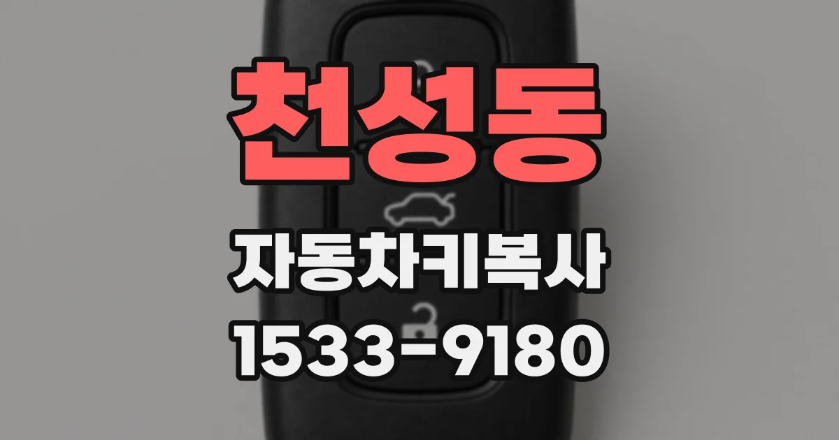 천성동 자동차키복사