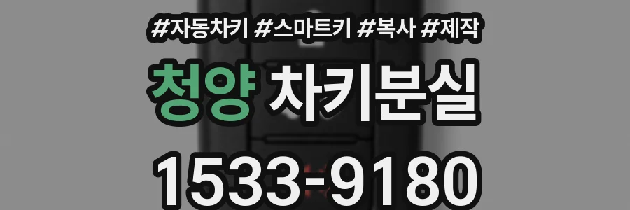 청양 차키분실
