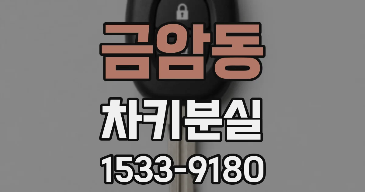 금암동 차키분실