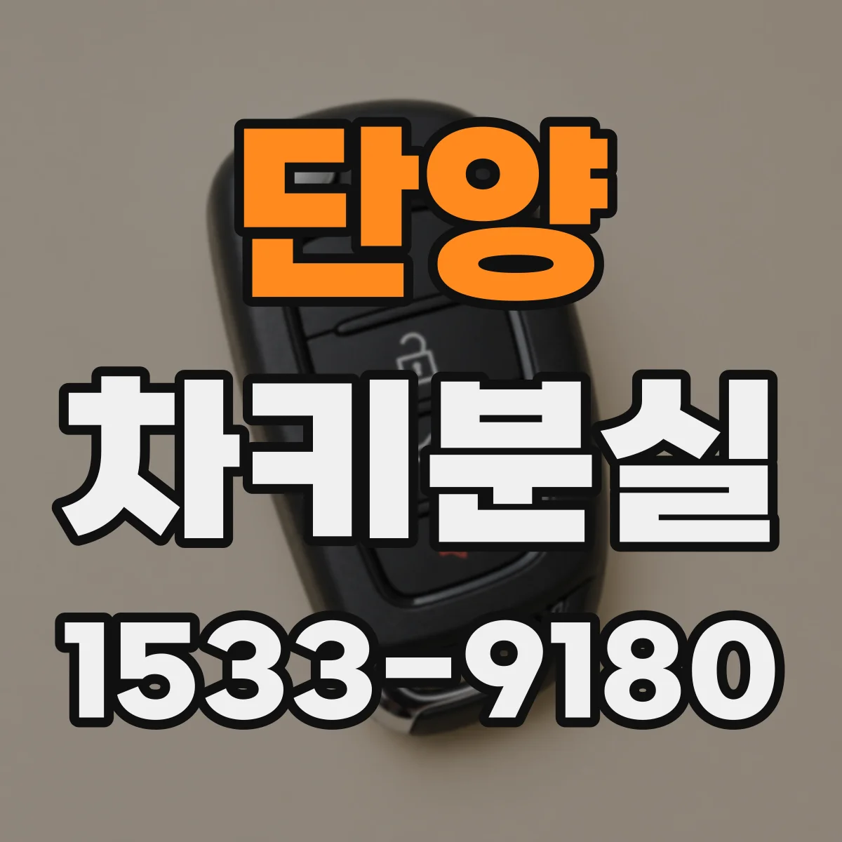 단양 차키분실
