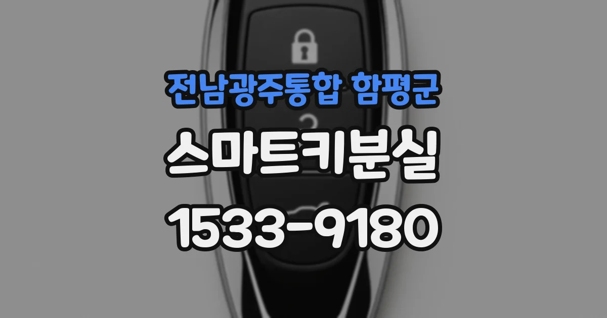 전남광주통합 함평군 스마트키분실