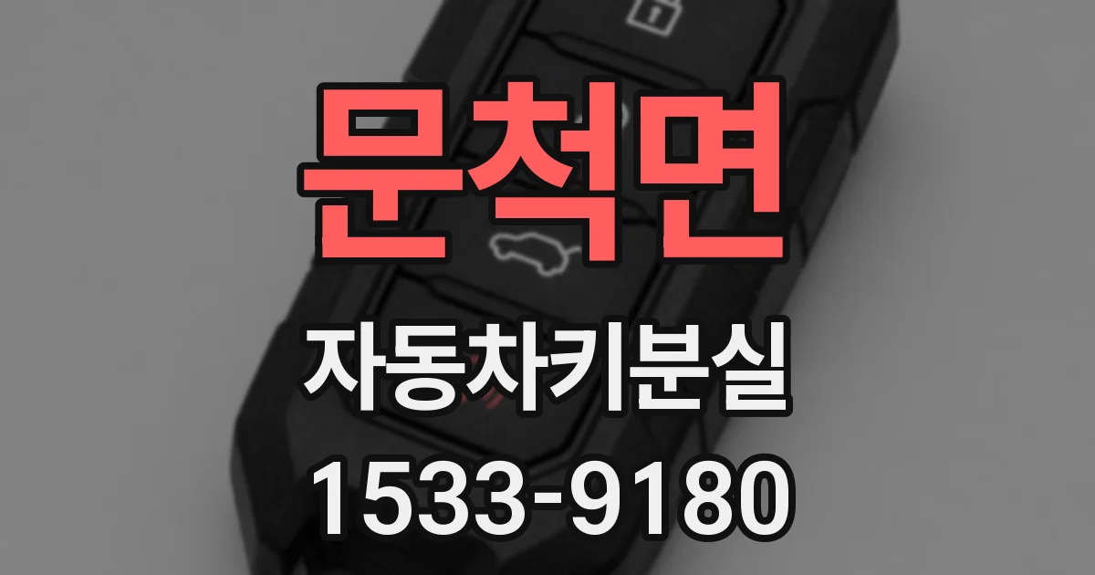 문척면 자동차키분실