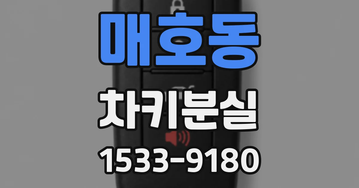매호동 차키분실