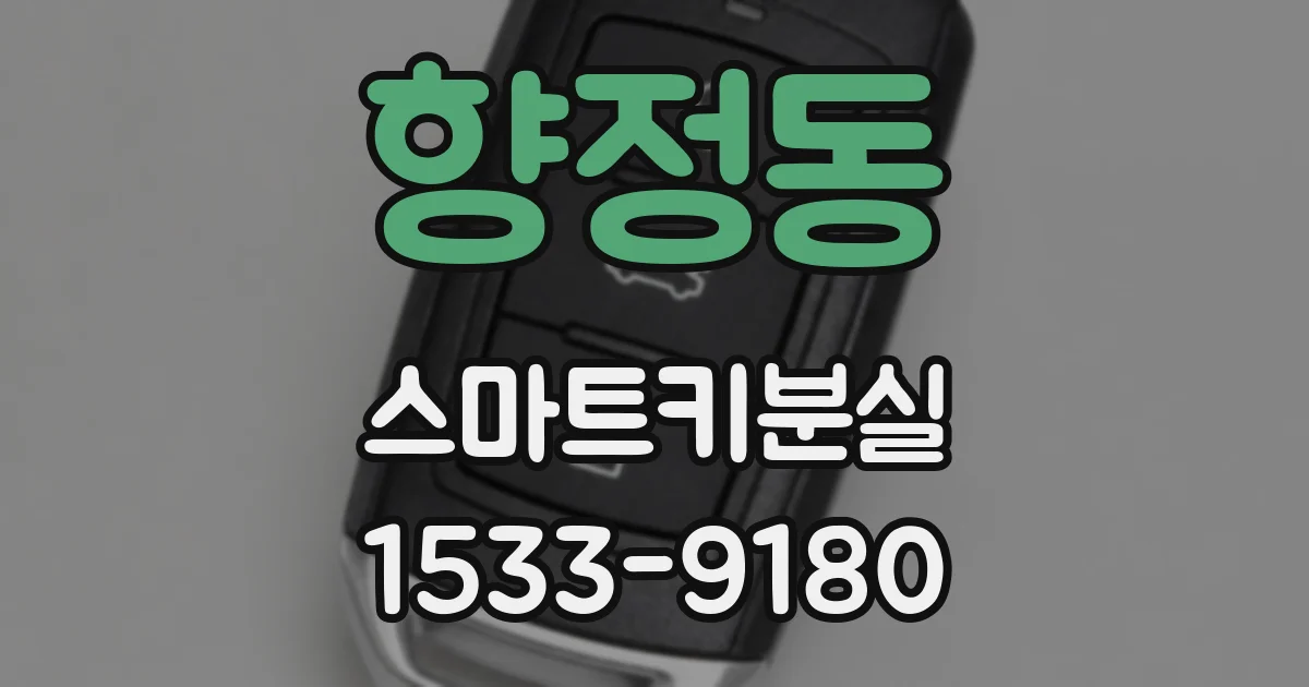 향정동 스마트키분실
