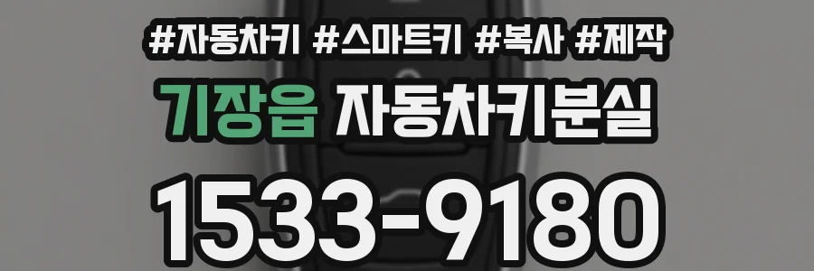 기장읍 자동차키분실