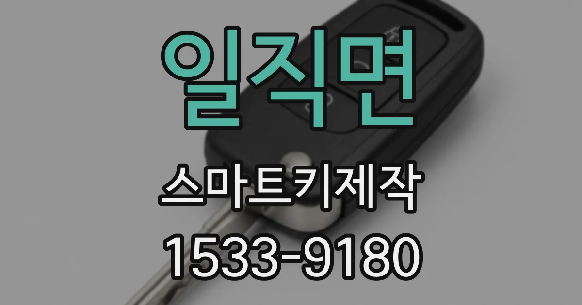 일직면 스마트키제작