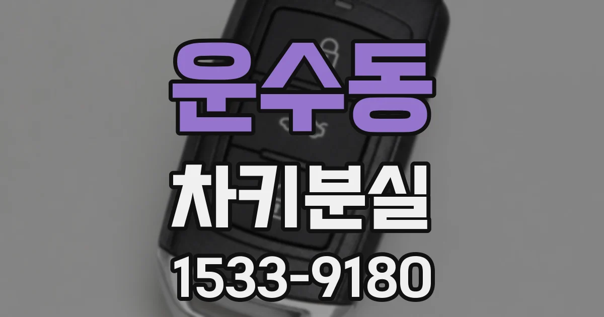 운수동 차키분실