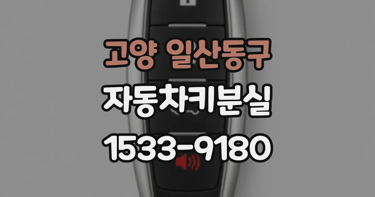 고양 일산동구 자동차키분실