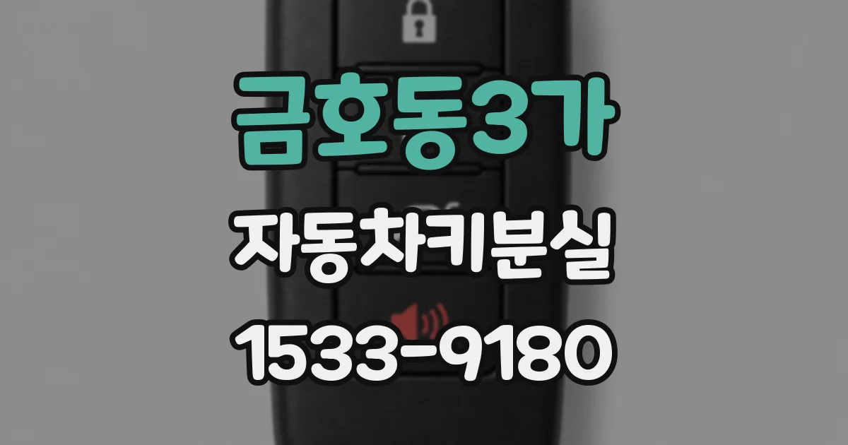 금호동3가 자동차키분실