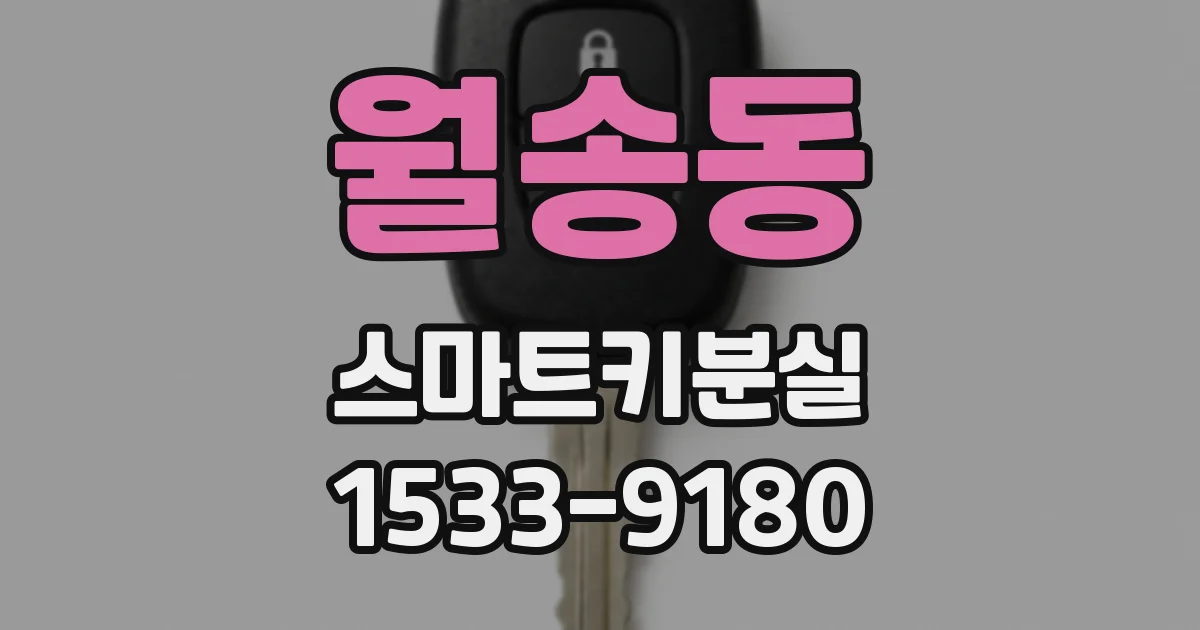 월송동 스마트키분실